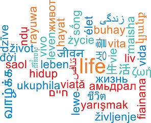 Image showing Life multilanguage wordcloud background concept