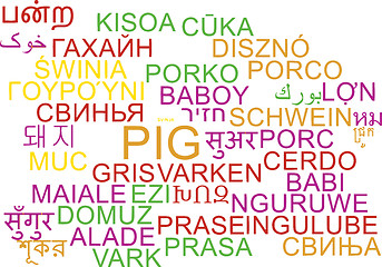 Image showing Pig multilanguage wordcloud background concept
