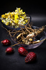 Image showing rose hips and folk medicine