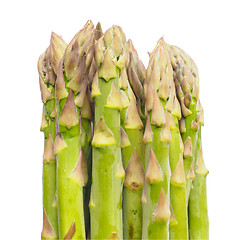 Image showing Asparagus vegetable isolated