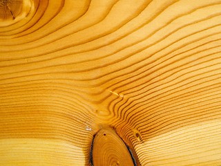 Image showing Brown larch wood background