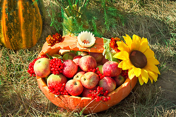 Image showing Harvest vegetables sold at the fair