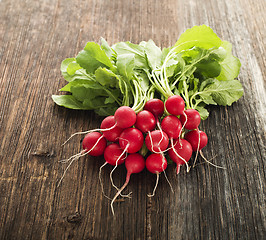 Image showing Radish