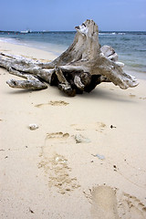 Image showing boat  people and tree in  republica dominicana