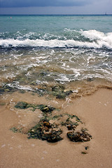 Image showing beach rock  in  republica dominicana