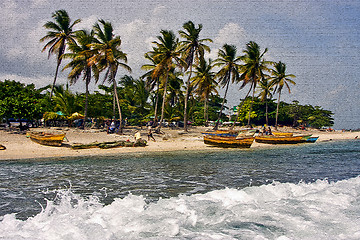 Image showing work and tree in  republica dominicana