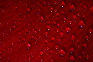 Image showing red texture 