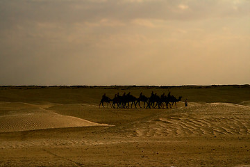 Image showing douze   in the sahara 