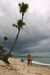 Image showing  ocean coastline tree and tree in  republica dominicana