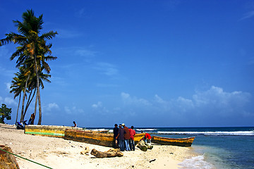 Image showing  ocean  palm and tree in  republica dominicana