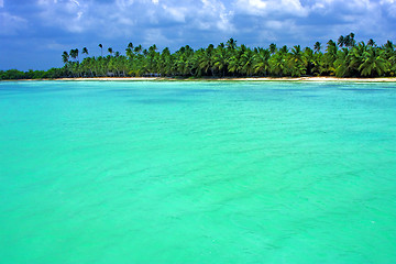 Image showing coastline  in  republica dominicana