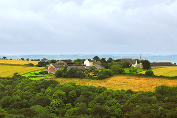 Image showing Agricultural landscape