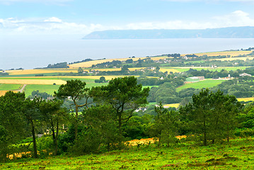 Image showing Agricultural landscape