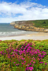 Image showing Atlantic coast in Brittany