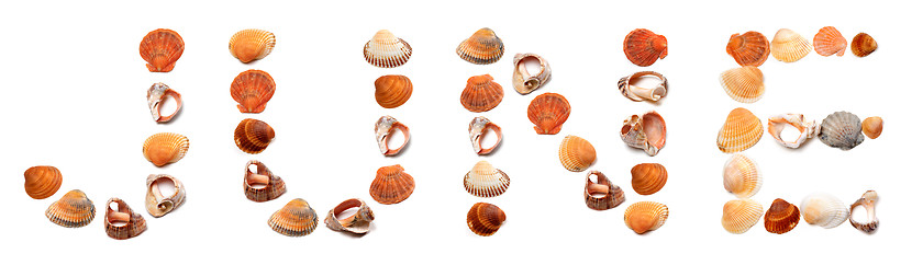 Image showing J U N E text composed of seashells