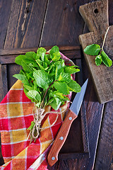 Image showing fresh mint 