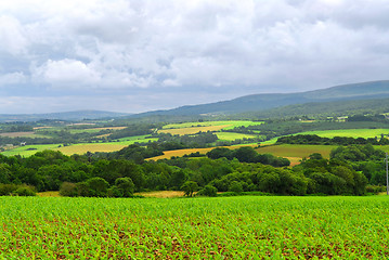 Image showing Agricultural landscape