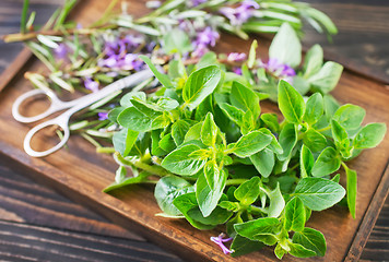 Image showing aroma herbs