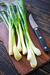 Image showing green onion