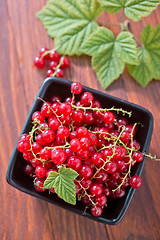 Image showing fresh currant