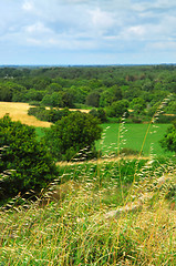 Image showing Rural landscape