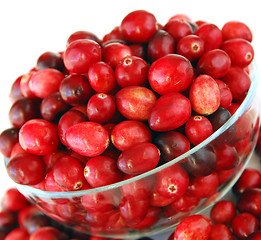 Image showing Cranberries in a bowl