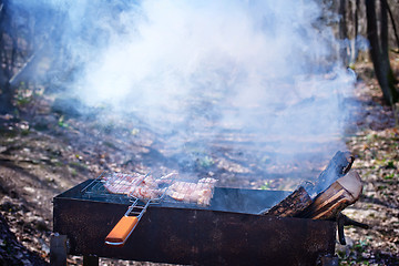 Image showing barbecue in the forest