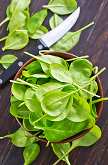 Image showing fresh spinach