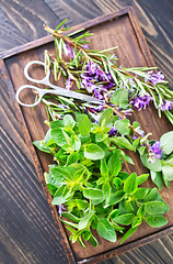 Image showing aroma herbs