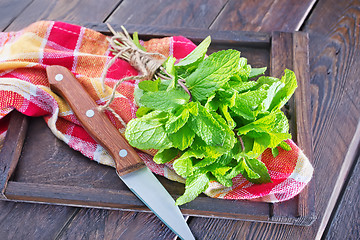 Image showing fresh mint 