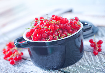 Image showing fresh red currant