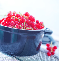 Image showing fresh red currant