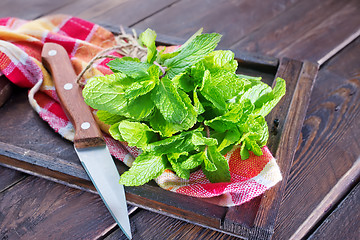 Image showing fresh mint 