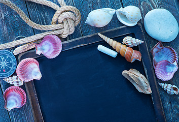 Image showing sea shells