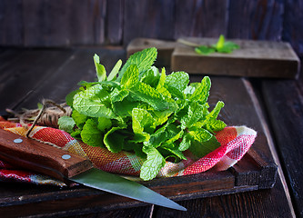 Image showing fresh mint 