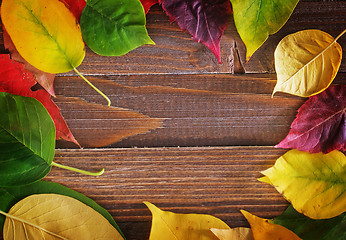 Image showing automn background