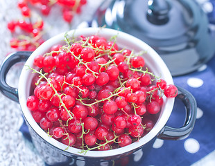 Image showing fresh red currant
