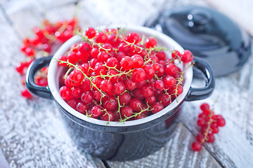 Image showing fresh red currant