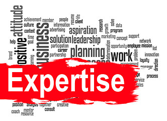 Image showing Expertise word cloud with red banner