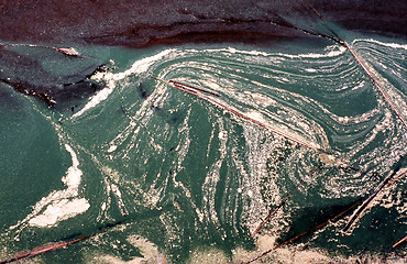 Image showing Lake with a dense bloom of green algae.