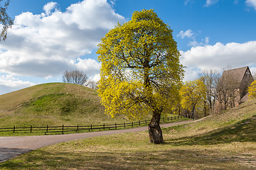 Image showing Swedish rural landscape