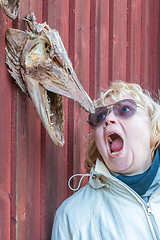 Image showing heades of pikes  on red wooden fence