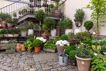 Image showing Scandinavian architecture. Flowers decorating entrance to the building.