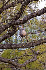 Image showing wooden acorn on the tree