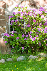 Image showing Scandinavian architecture. Flowers decorating window in the building.