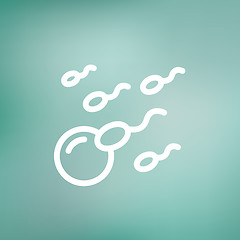 Image showing Sperm and egg cells thin line icon