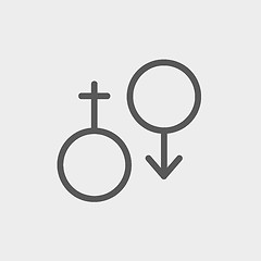 Image showing Male and female thin line icon