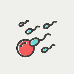 Image showing Sperm and egg cells thin line icon