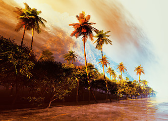 Image showing Beautiful palm trees