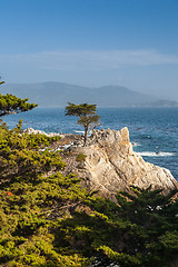 Image showing Island Coastline, Santa Cruz Island, California